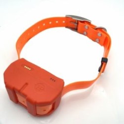 Collier DOGZE 4G – Balise GPS de repérage et dressage 4G frais de port offert !!