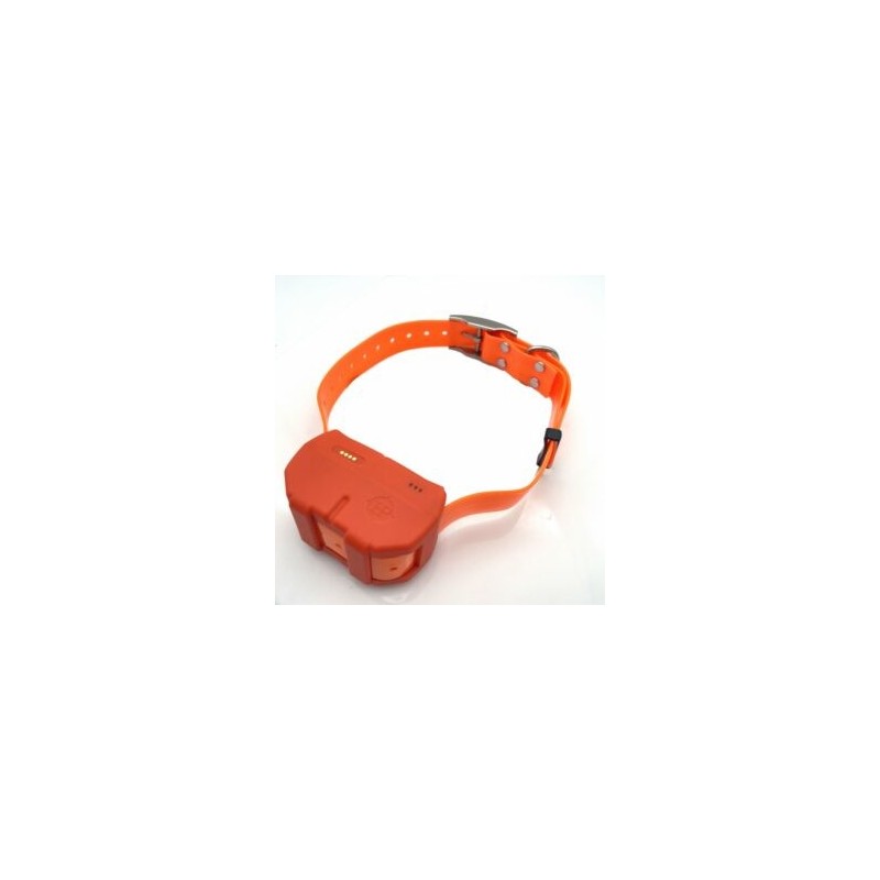 Collier DOGZE 4G – Balise GPS de repérage et dressage 4G frais de port offert !!
