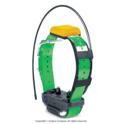 Collier supplémentaire Dogtra pathfinder 2