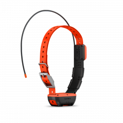 Collier de suivi de Garmin T 20 F
