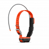 Collier de suivi de Garmin T 20 F