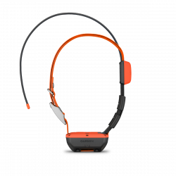 Collier de suivi de Garmin T 20 F