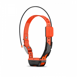 Collier de suivi de Garmin T 20 F