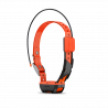 Collier de suivi de Garmin T 20 F