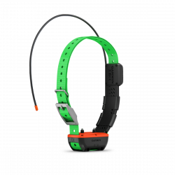 Collier de suivi et de dressage Garmin Tt™25F