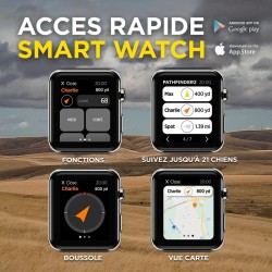 Pack ensemble complet collier Gps dogtra pathfinder dressage livraison offerte !