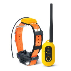 Pack ensemble complet collier Gps dogtra pathfinder dressage livraison offerte !